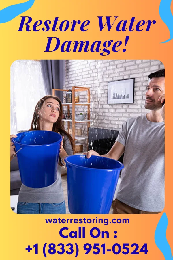 water restoration Citywide Disaster Recovery LLC Monroe