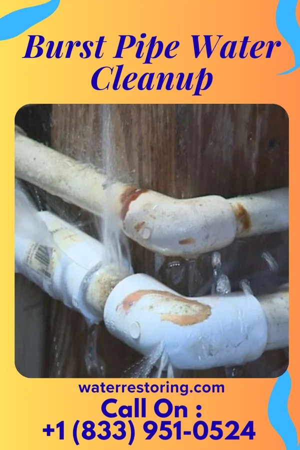 Burst Pipe Water Cleanup in Monroe, NE