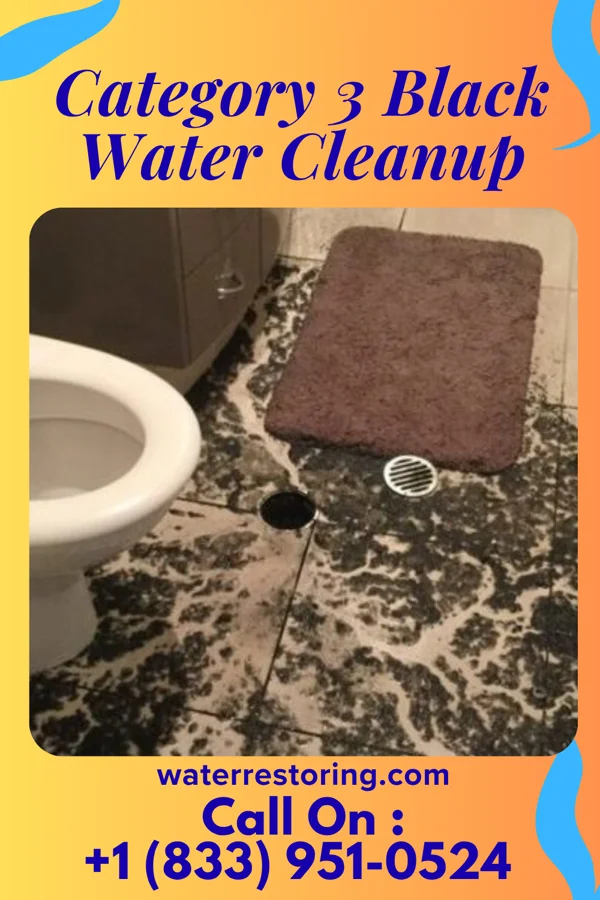 Category 3 Black Water Cleanup in Monroe, NE