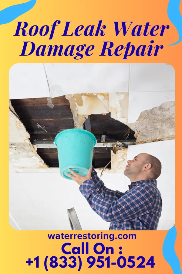 Roof Leak Water Damage Repair in Monroe, NE